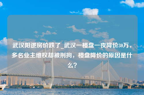 武汉阳逻房价跌了_武汉一楼盘一夜降价30万，多名业主维权却被刑拘，楼盘降价的原因是什么？