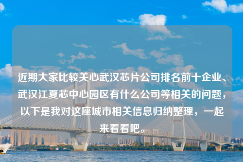 近期大家比较关心武汉芯片公司排名前十企业、武汉江夏芯中心园区有什么公司等相关的问题，以下是我对这座城市相关信息归纳整理，一起来看看吧。