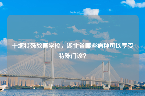 十堰特殊教育学校，湖北省哪些病种可以享受特殊门诊？