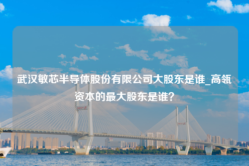 武汉敏芯半导体股份有限公司大股东是谁_高瓴资本的最大股东是谁？