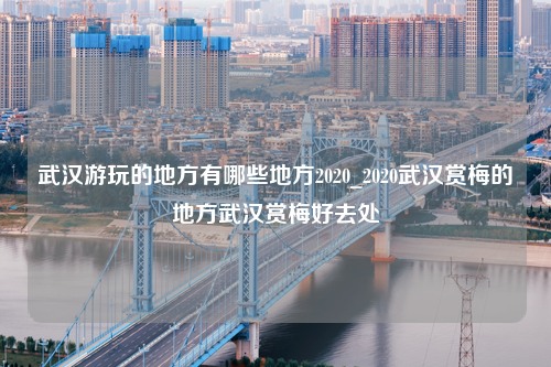 武汉游玩的地方有哪些地方2020_2020武汉赏梅的地方武汉赏梅好去处