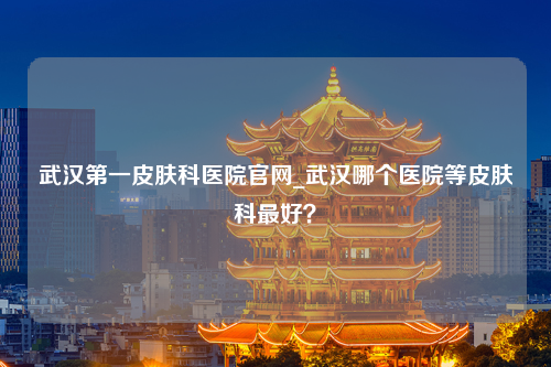 武汉第一皮肤科医院官网_武汉哪个医院等皮肤科最好？