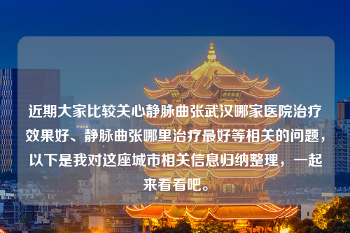 近期大家比较关心静脉曲张武汉哪家医院治疗效果好、静脉曲张哪里治疗最好等相关的问题，以下是我对这座城市相关信息归纳整理，一起来看看吧。