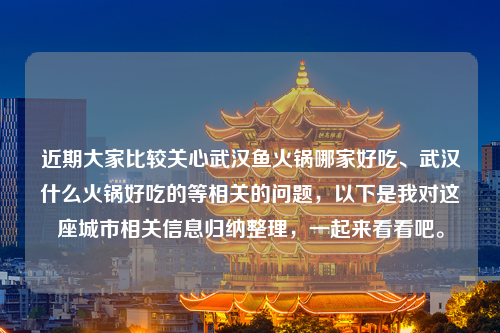 近期大家比较关心武汉鱼火锅哪家好吃、武汉什么火锅好吃的等相关的问题，以下是我对这座城市相关信息归纳整理，一起来看看吧。